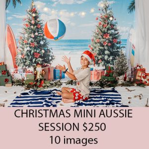 CHRISTMAS SESSION BOOKINGS 'AUSSIE BEACH 10 IMAGES'